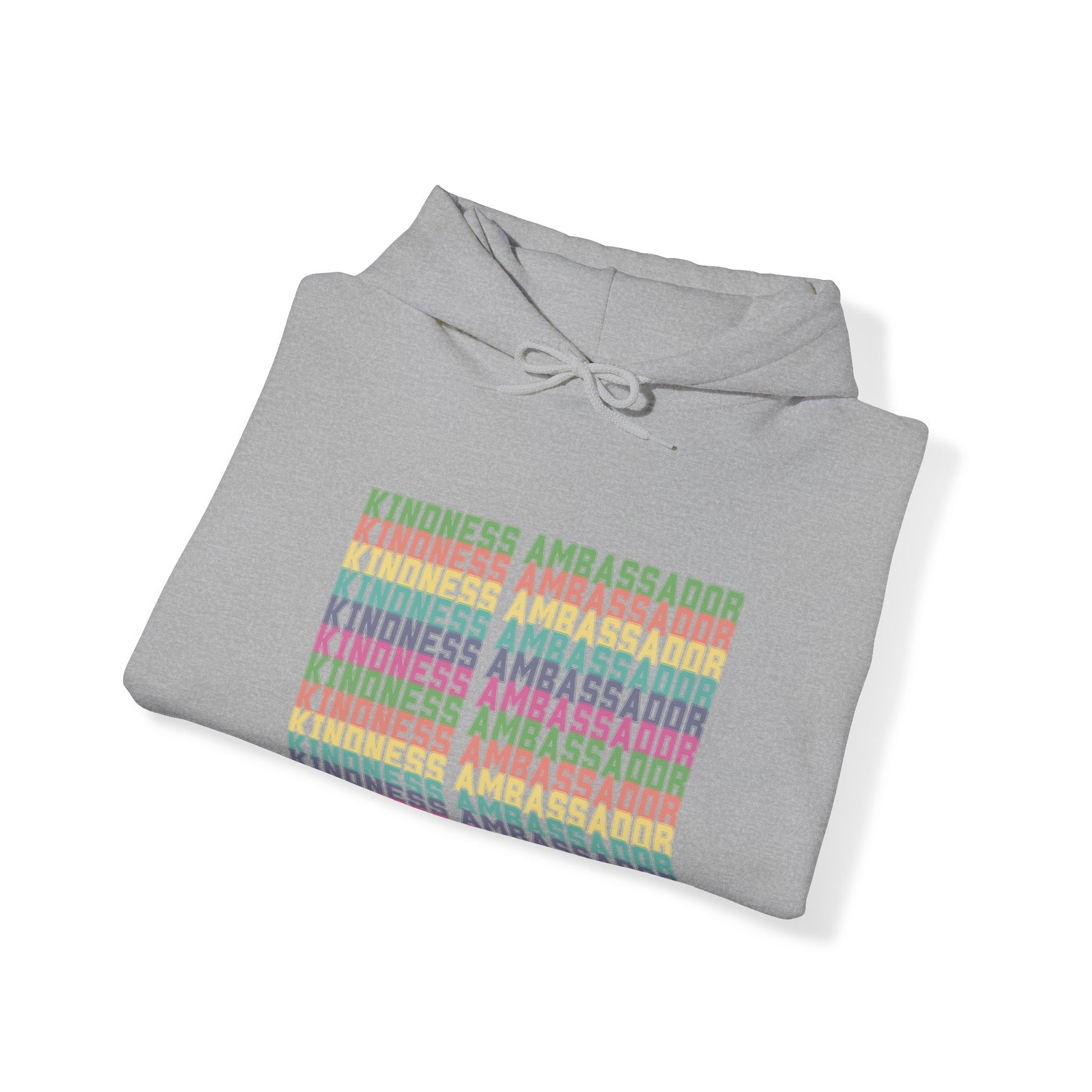 Kindness Ambassador Unisex Heavy Blend Hooded Sweatshirt Hoodie